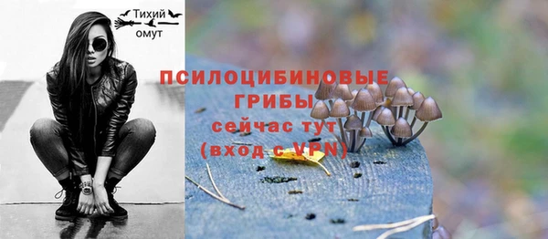 стафф Алексин