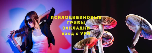 стафф Алексин