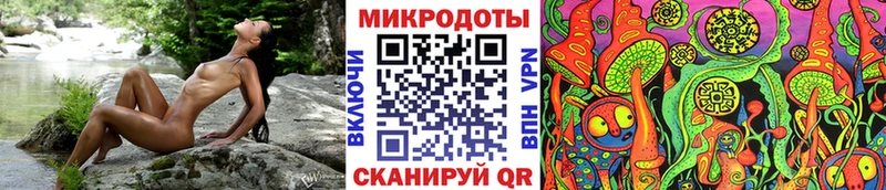 Галлюциногенные грибы Psilocybe Изобильный