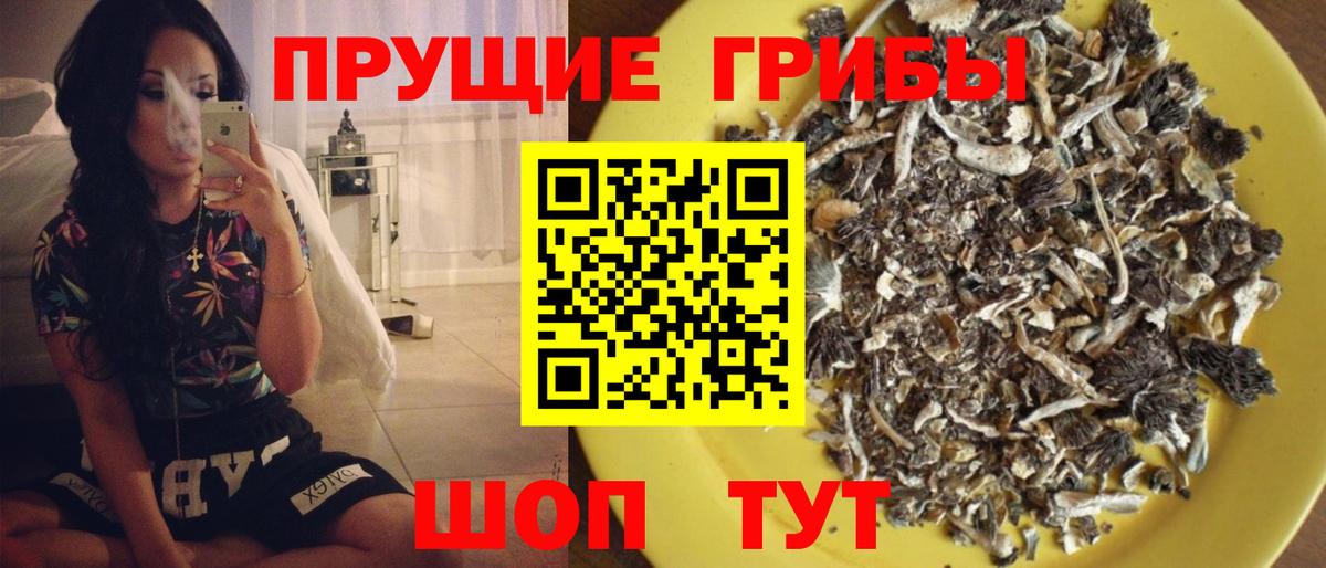 Галлюциногенные грибы прущие грибы Изобильный