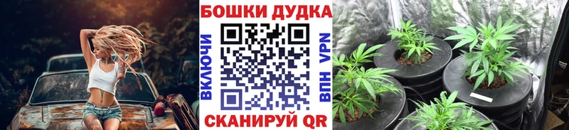 Канабис VHQ  Изобильный 